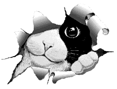  (243x184, 7Kb)