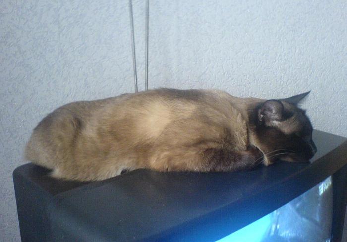 (700x488, 37Kb)