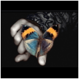 1202595369_avatar12 (115x115, 9Kb)
