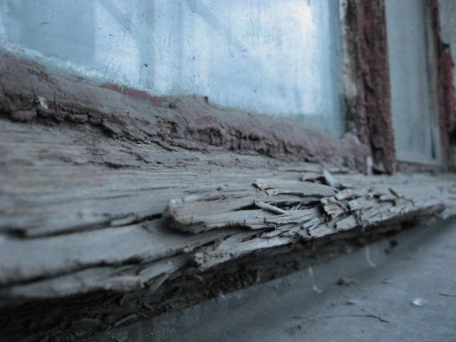  (640x480, 65Kb)
