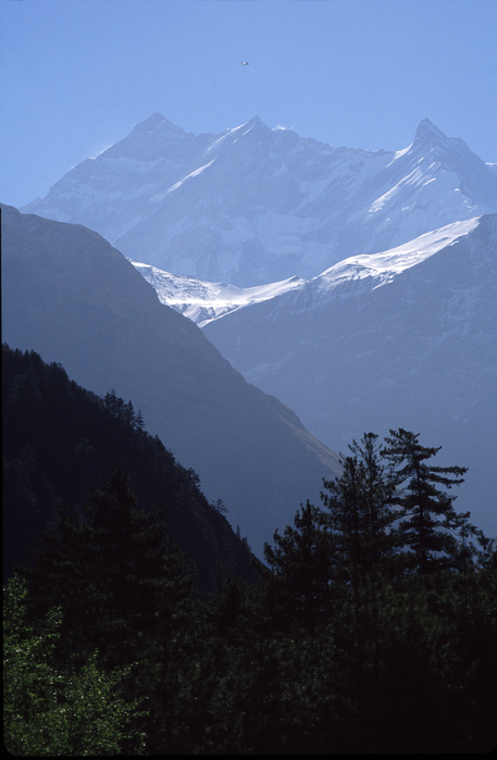  (457x699, 281Kb)