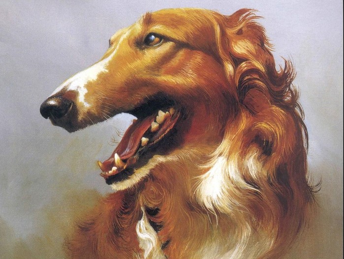 1202682014_dog_060 (699x527, 109Kb)