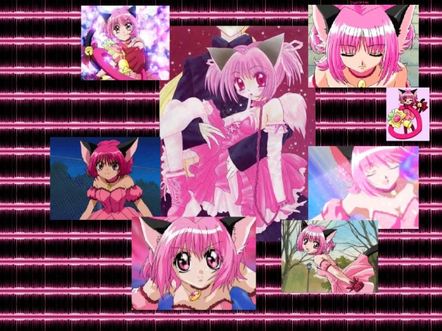  (640x480, 310Kb)