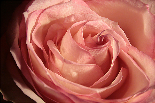  (600x399, 278Kb)