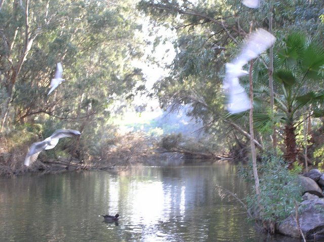  (640x479, 96Kb)