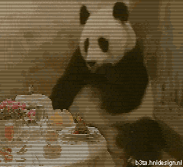 1203163143_9066463_2496200_21195028_200da6742bf7 (263x240, 242Kb)