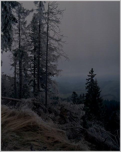  (483x606, 44Kb)