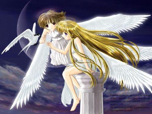  (500x375, 38Kb)