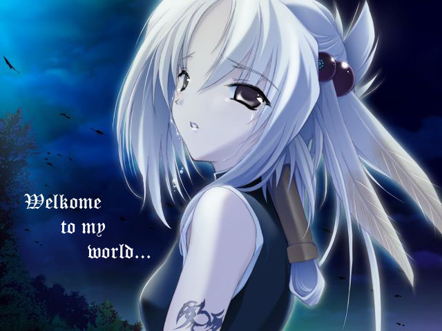  (640x480, 88Kb)