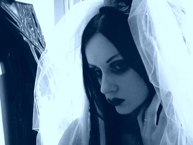 11066381_sadie_cakes_15 (640x480, 33Kb)
