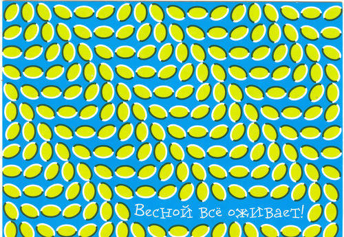  (500x345, 99Kb)