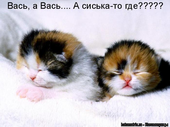  (699x524, 45Kb)