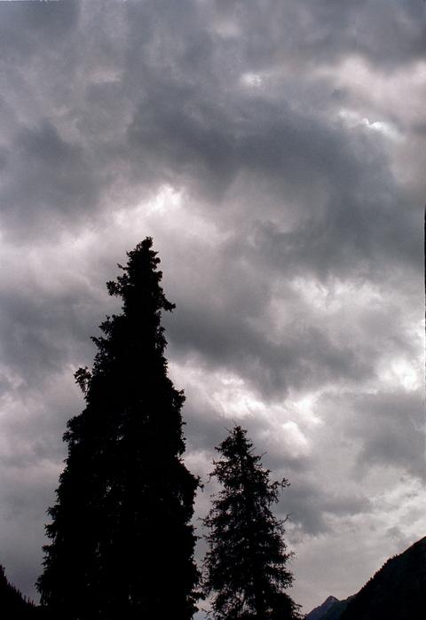 7 ALTYN ARASHAN0984 (480x699, 319Kb)