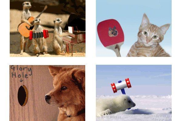  (600x400, 37Kb)