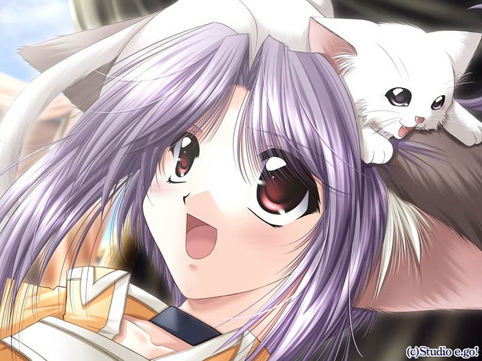  (700x525, 280Kb)