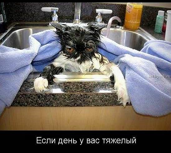 pic01 (549x489, 50Kb)