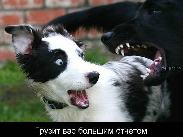  (599x449, 33Kb)