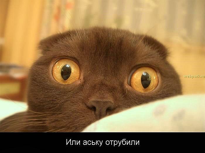  (700x525, 38Kb)