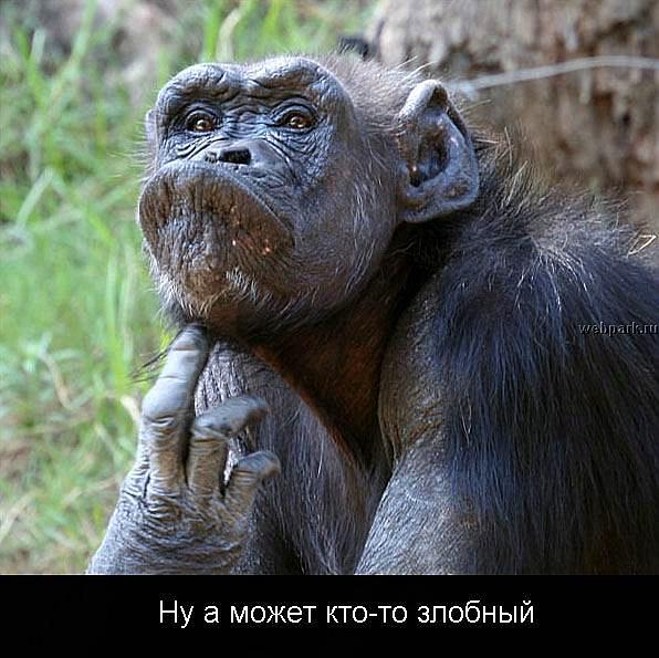  (596x595, 63Kb)