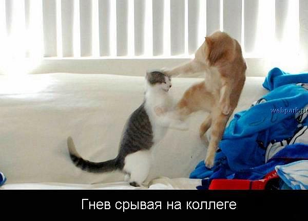  (600x430, 27Kb)