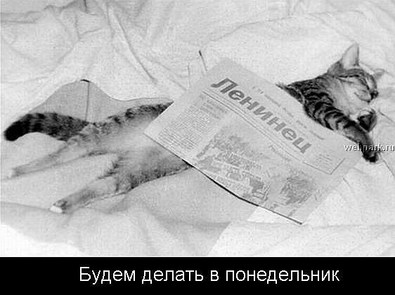 (562x420, 33Kb)