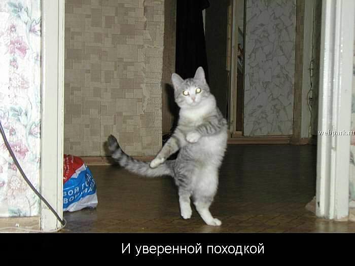 (700x525, 41Kb)