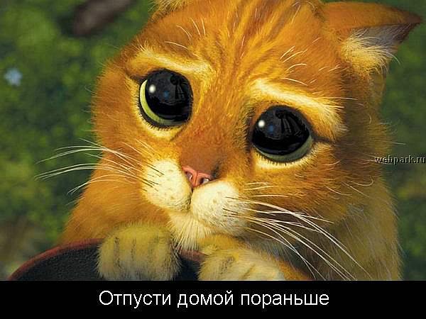  (600x450, 46Kb)