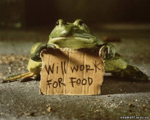  (500x400, 28Kb)