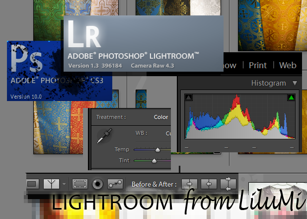 Adobe Photoshop vs Adobe Lightroom 