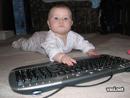  (500x375, 57Kb)