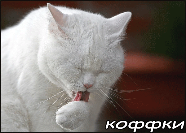  (600x430, 302Kb)