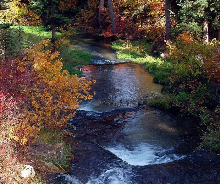 From the Bridge