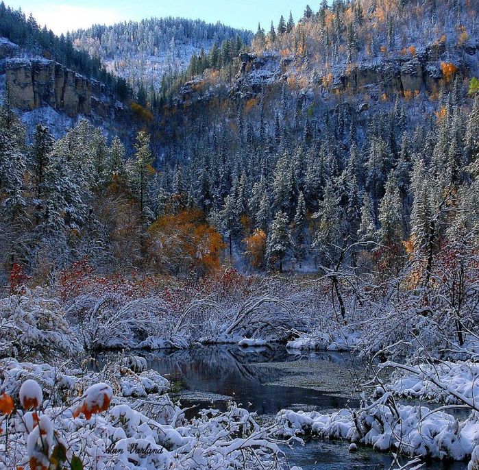 First Snow