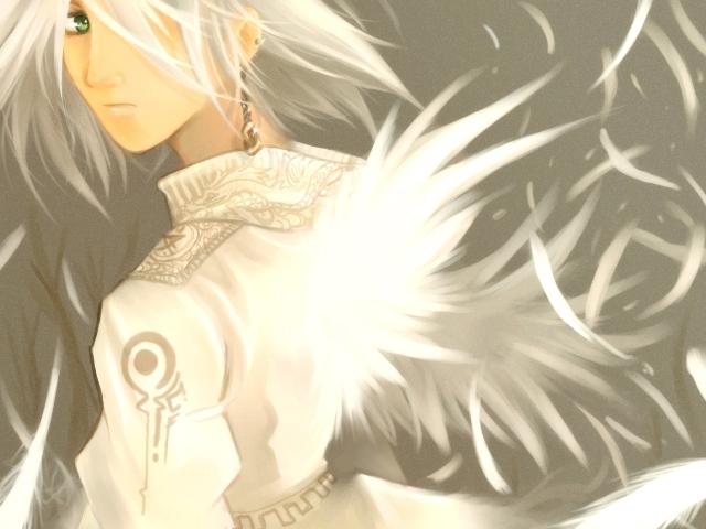  (640x480, 33Kb)