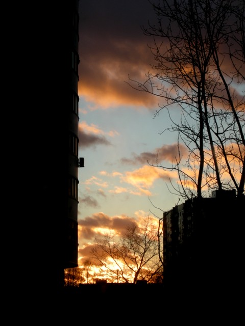 DSCN2538 (480x640, 59Kb)