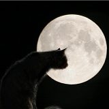 371252-blog (160x160, 4Kb)