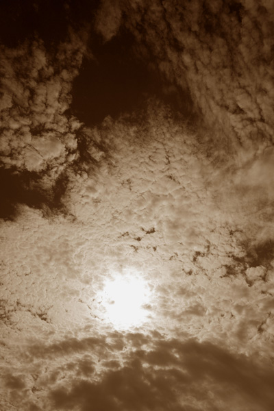  (400x600, 105Kb)