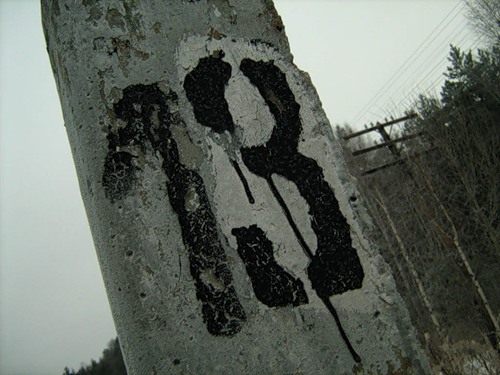  (500x375, 56Kb)