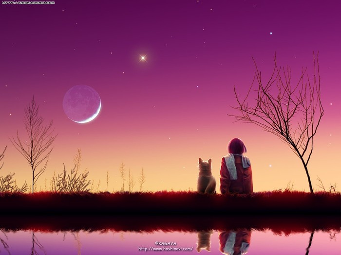  (700x525, 57Kb)