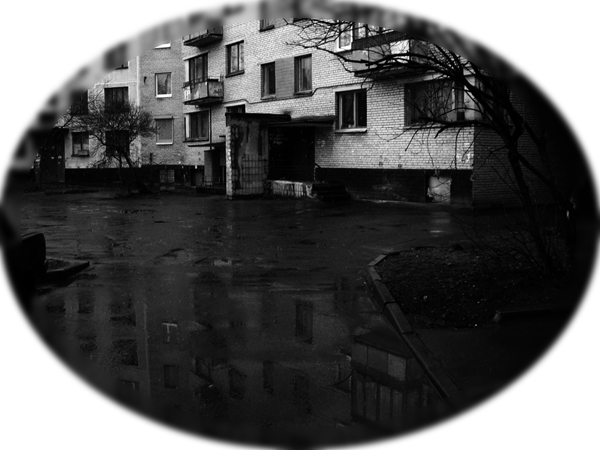  (600x450, 186Kb)
