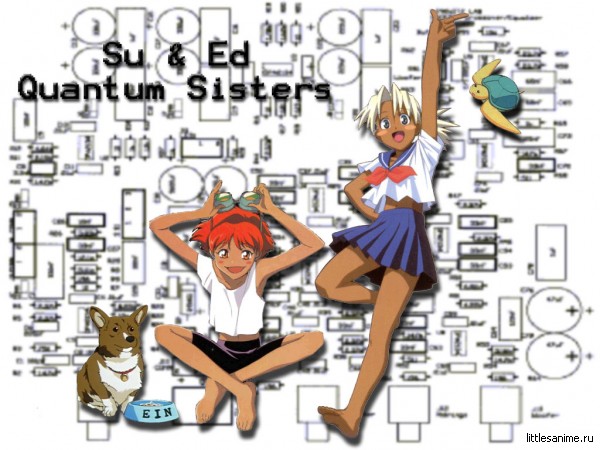  (600x450, 80Kb)