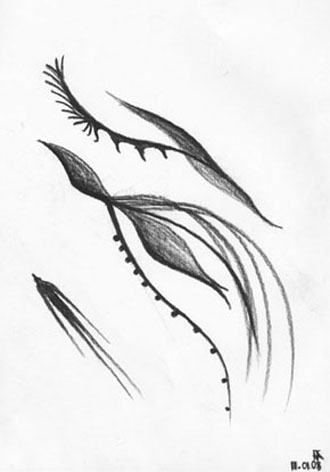  (330x472, 32Kb)