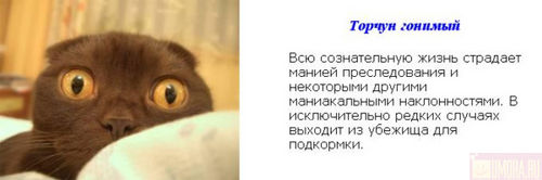  (500x166, 16Kb)