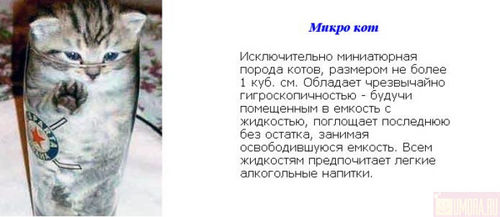  (500x217, 23Kb)