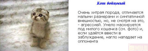  (500x173, 21Kb)