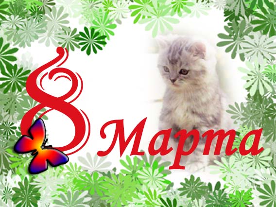 1205177535_8marta_copy (568x426, 71Kb)