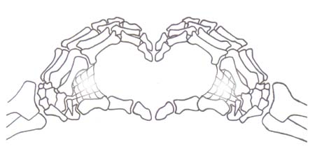 19713117_1204813363_17533028_I_Skeleton_Hands_You_by_Subliminal_Hope (450x219, 25Kb)