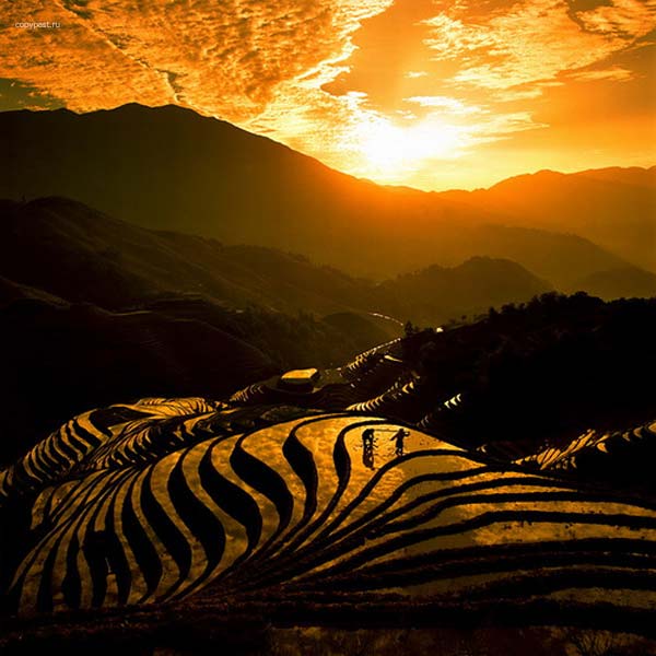  (600x600, 48Kb)