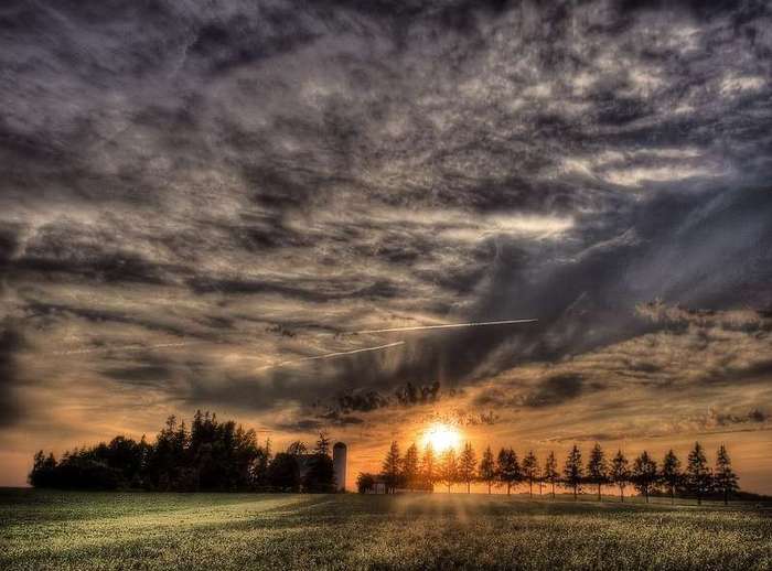  (700x518, 43Kb)