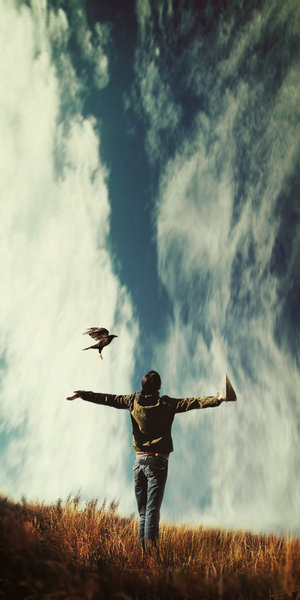  (300x600, 38Kb)